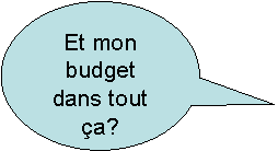 et mon budget dans tout a?